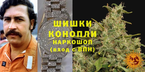 индика Вязьма