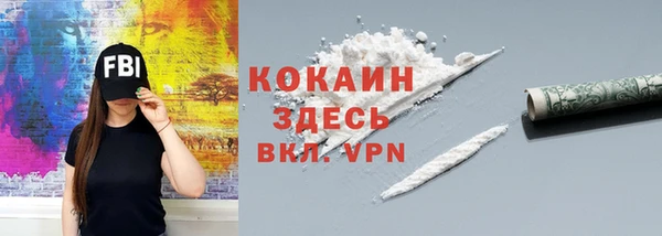 прущая мука Вяземский