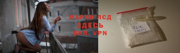 индика Вязьма