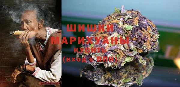 прущая мука Вяземский