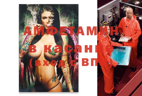 прущая мука Вяземский