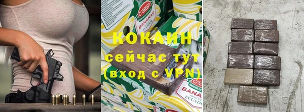 индика Вязьма