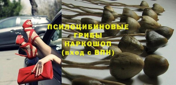 стафф Вязники
