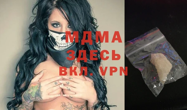 индика Вязьма