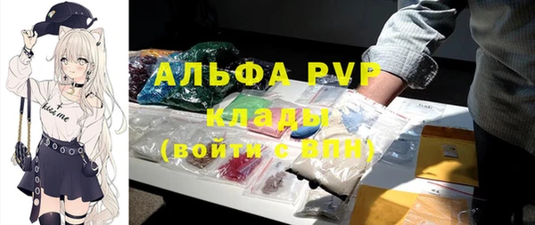 амф Новодвинск