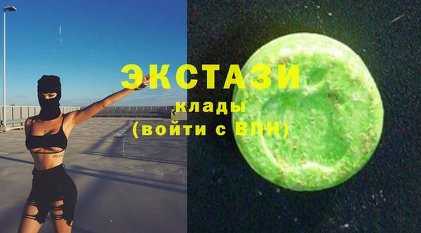 индика Вязьма