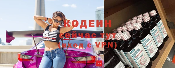 индика Вязьма